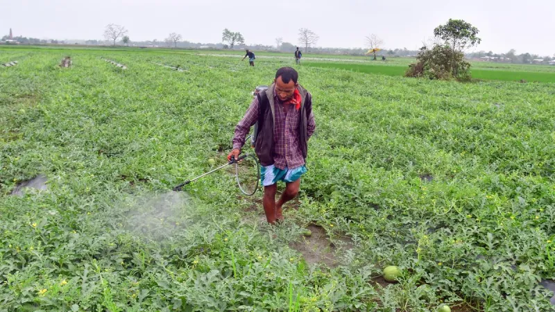 पश्चिम एशिया संकट: कीटनाशक कीमतों में उछाल, नकली उत्पादों का खतरा