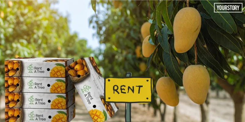 भारत में अनोखी पहल: अब आम का पेड़ किराए पर, सीधा खेत से आपके घर!
