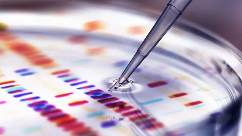 वैज्ञानिक सम्मेलनों में हास्य: क्यों नहीं मिलती वैज्ञानिकों को हंसी?