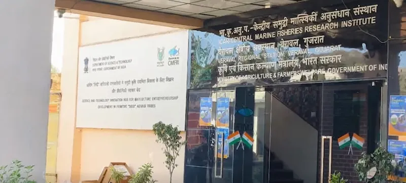 गुजरात ACB ने रिश्वतखोरी मामले में सरकारी ठेकेदार को पकड़ा